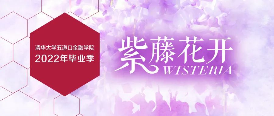 紫藤花开.jpg 紫藤花开.jpg